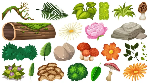 Conjunto de objetos de la naturaleza — Vector de stock