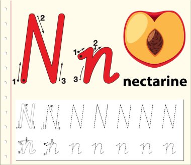 N harfi izleme alfabe çalışma sayfaları