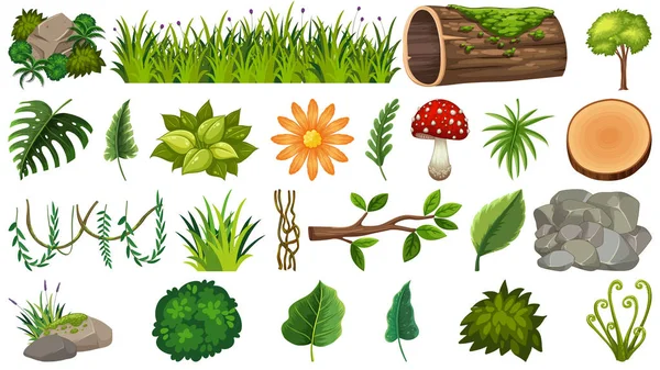 Ensemble de plantes ornementales — Image vectorielle