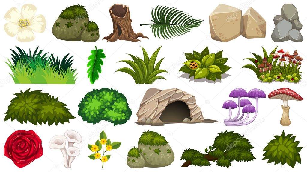 Set of nature objects