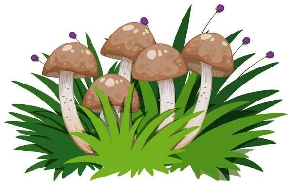 在白色背景上的孤立的蘑菇 — 图库矢量图片