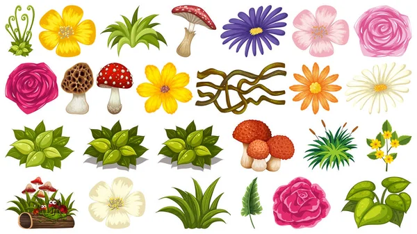 Ensemble de plantes ornementales — Image vectorielle