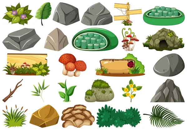 Doğa nesneleri kümesi