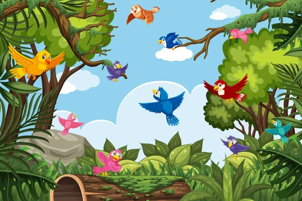 Kleurrijke vogels in de jungle scene — Stockvector