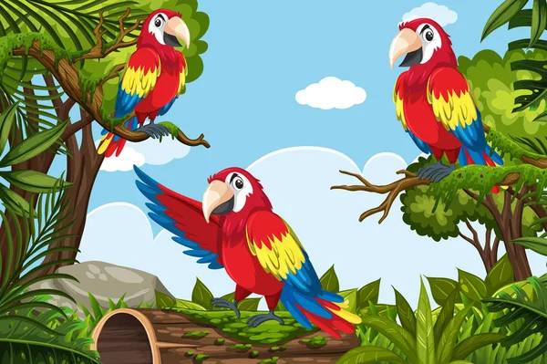 Papagaios em cena na selva —  Vetores de Stock