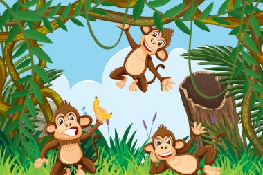 Moneky orman sahnesinde