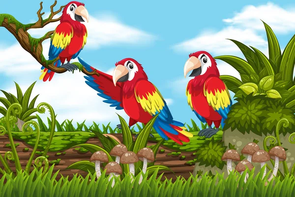 Папуги в джунглях сцена — стоковий вектор
