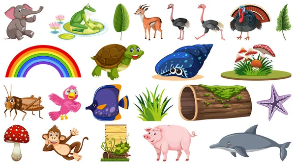 Набор различных животных и растений — стоковый вектор