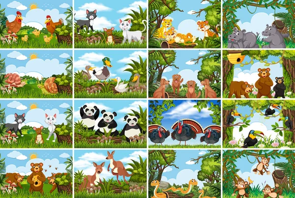 Conjunto de varios animales en escenas de la naturaleza — Vector de stock
