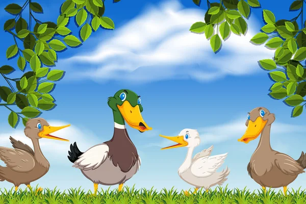 Ducks in nature scene — Stock Vector