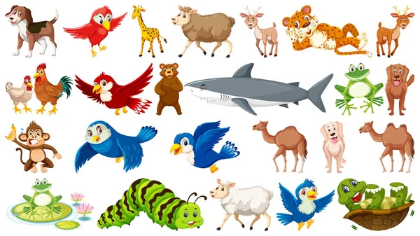 Conjunto de muchos animales salvajes — Vector de stock