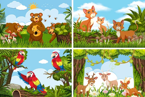 Set of various animals in nature scenes — Stock Vector