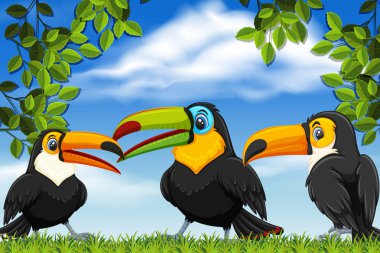 Doğa sahnelerinde Toucans