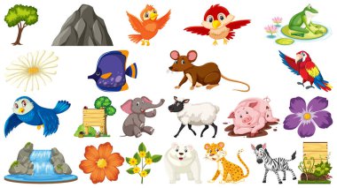 dizi farklı vahşi hayvanlar