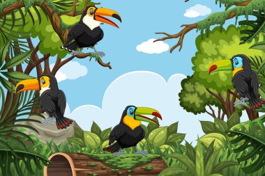 Orman sahnesinde Toucans