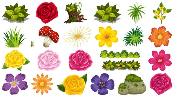 Ensemble d'objets isolés thème - fleurs — Image vectorielle