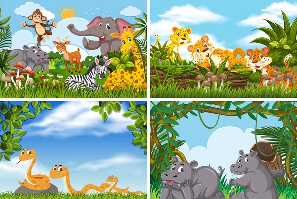 Set of various animals in nature scenes — Stock Vector