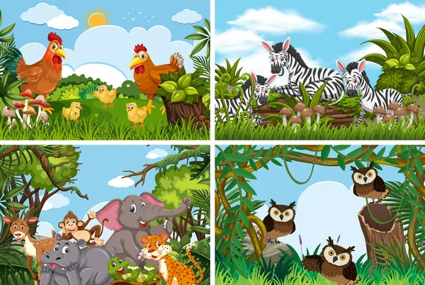 Set of various animals in nature scenes — Stock Vector