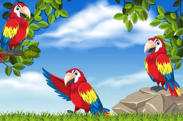 Papagaios em cena na selva —  Vetores de Stock