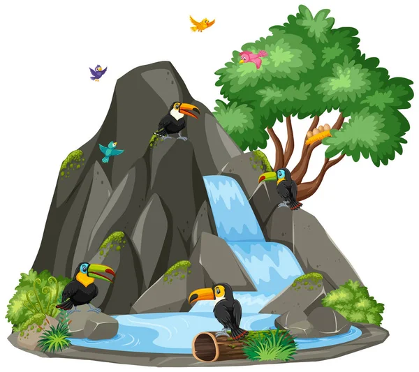 Escena de fondo de aves tucanas junto a la cascada — Vector de stock