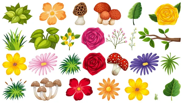 Gran grupo de objetos aislados tema flores — Vector de stock