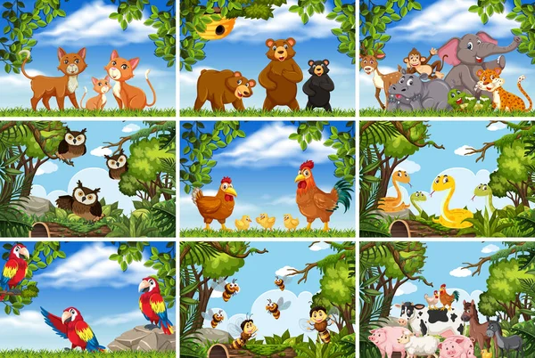 Ensemble de divers animaux dans des scènes de nature — Image vectorielle