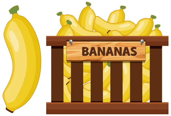 Cesta cheia de bananas no fundo branco — Vetor de Stock