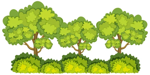 Big Green Trees White Background Illustration — Stock Vector