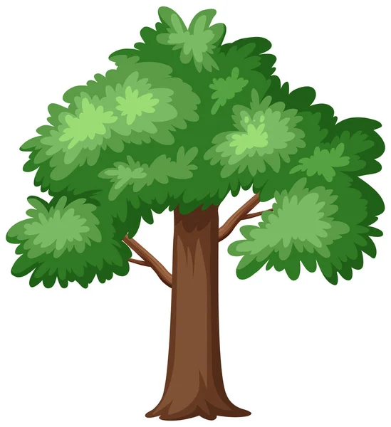 Gran Árbol Sobre Fondo Blanco Ilustración — Vector de stock