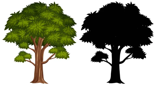 Silhouette Bilder Von Großen Baum Auf Weißem Hintergrund Illustration — Stockvektor