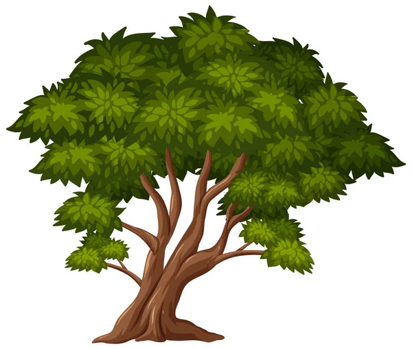 Uma Grande Árvore Fundo Branco Ilustração —  Vetores de Stock