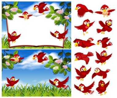 Doğadaki kırmızı kuş kümesi