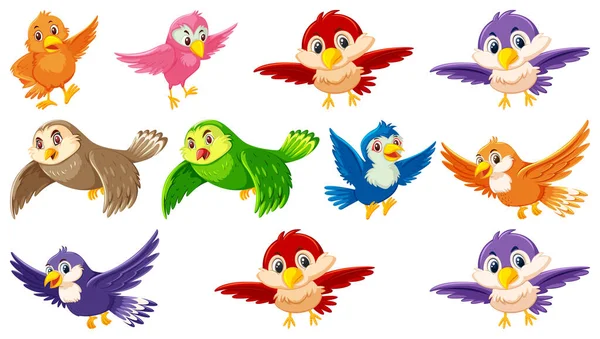 Set Bird Cartoon Character Illustration — Stock Vector