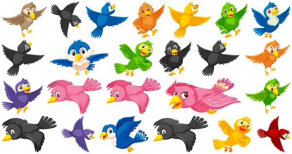 Set Bird Cartoon Character Illustration — Stock Vector