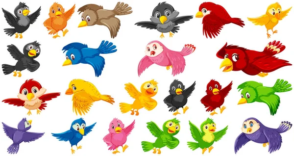 Набор Иллюстраций Персонажей Мультфильмов Птицах — стоковый вектор