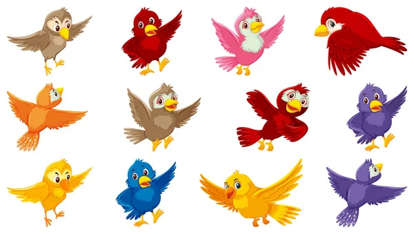 Conjunto Ilustración Personajes Dibujos Animados Aves — Vector de stock