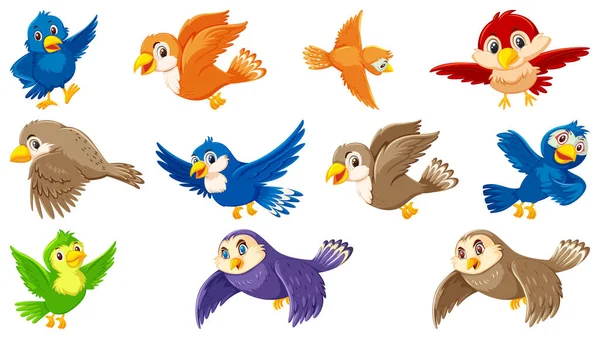 Set Bird Cartoon Character Illustration — Stock Vector