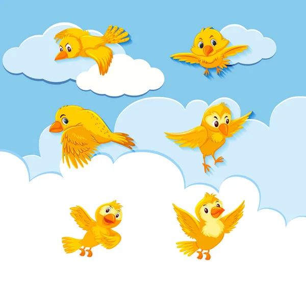 Conjunto Caracteres Pájaro Cielo Ilustración Fondo — Vector de stock