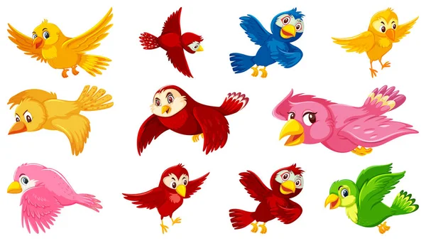 Conjunto Ilustración Personajes Dibujos Animados Aves — Vector de stock