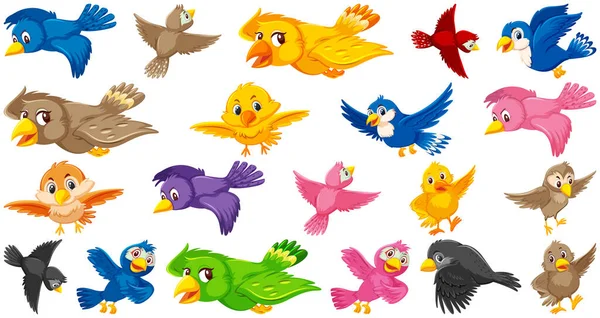 Zestaw Znaków Kreskówki Ptaków Ilustracja — Wektor stockowy