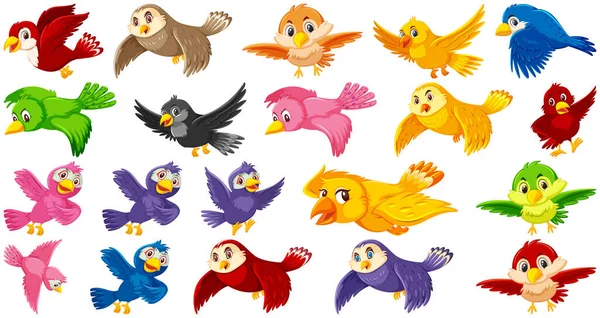 Zestaw Znaków Kreskówki Ptaków Ilustracja — Wektor stockowy