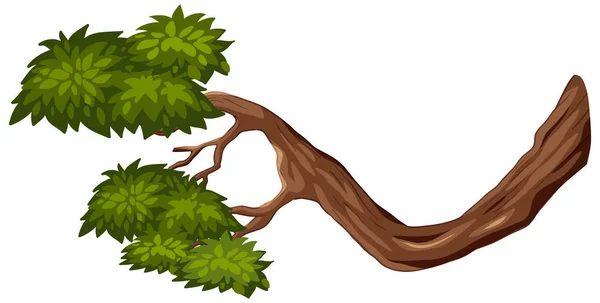 Ramo Árvore Isolado Sobre Fundo Branco Ilustração — Vetor de Stock
