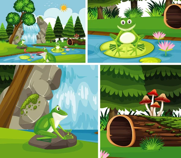 大自然中的青蛙背景图 — 图库矢量图片