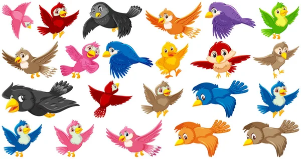 Set Bird Cartoon Character Illustration — Stock Vector