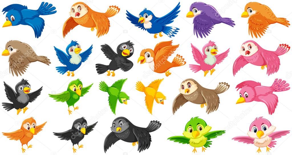 Set of bird cartoon character illustration