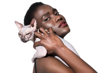 Sphynx kedi tutarak ve üzerinde beyaz izole kamera bakarak çekici genç Afro-Amerikan kadın 