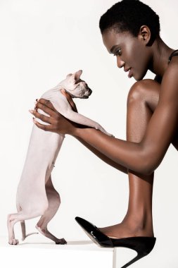 sphynx kedi üzerinde beyaz izole tutarak yüksek topuklu ayakkabı Afro-Amerikan Kız güzel yan görünüm