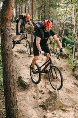 extreme young trial bikers riding downhill on back wheels at beautiful forest clipart