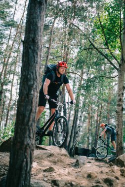 athletic young trial bikers riding at beautiful pine forest clipart