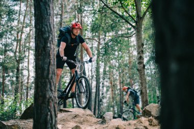 extreme young trial bikers riding at beautiful pine forest clipart